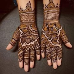 WhatsApp Image 2024-09-18 at 2.44.15 PM