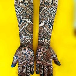 WhatsApp Image 2024-09-28 at 2.59.38 PM